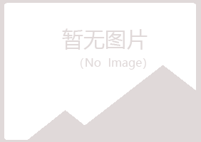 鹤壁山城沉沦化学有限公司